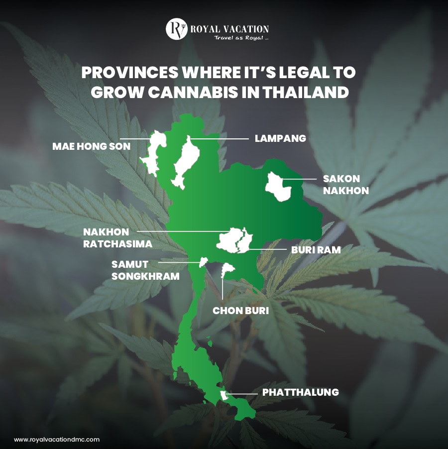 Cannabis Provinces in Thailand