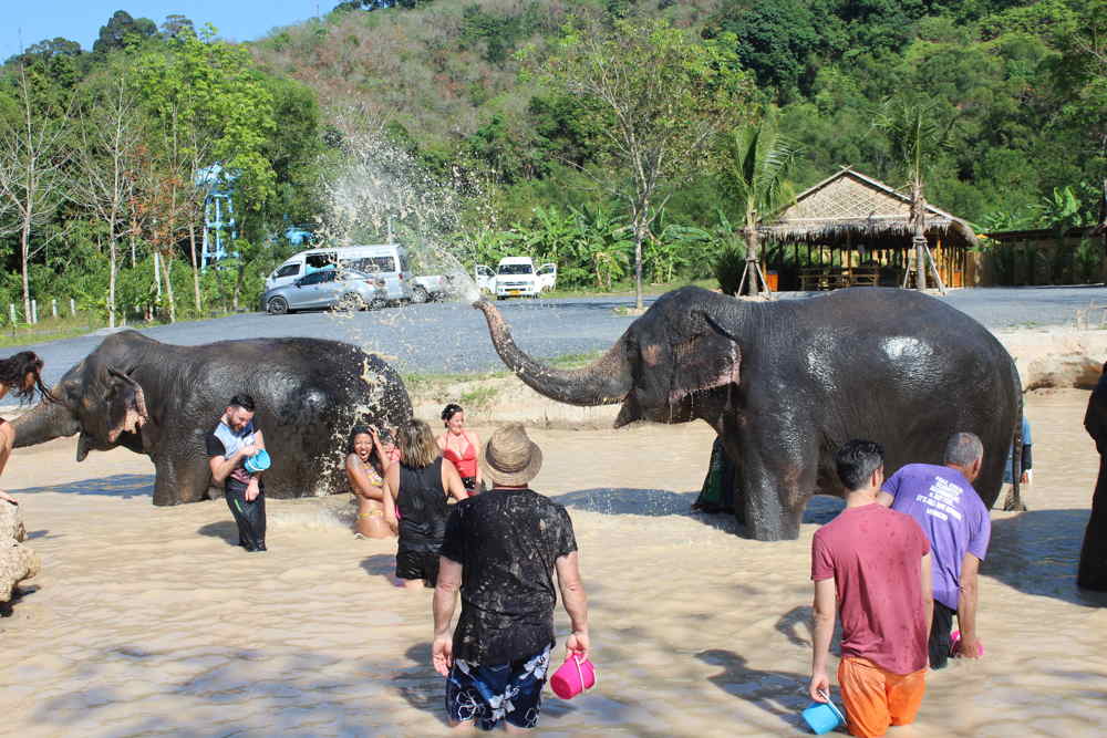 The Green Elephant Tour Phuket 2