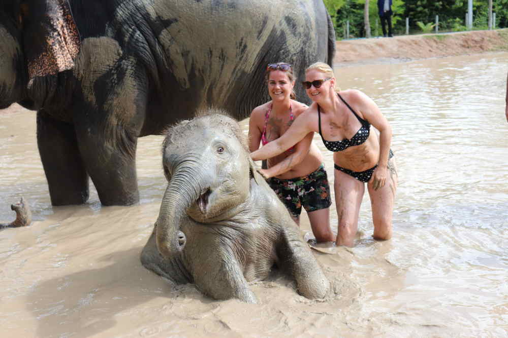 The Green Elephant Tour Phuket 3