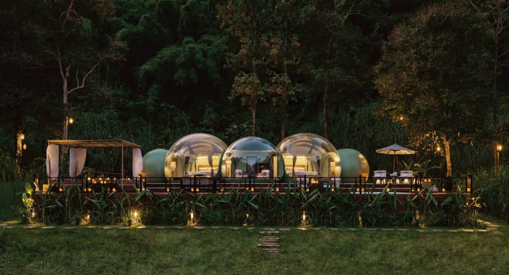 The Jungle Bubble Chiang Rai