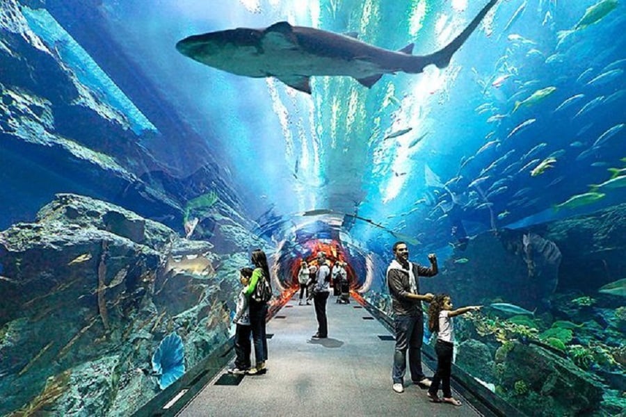 aquarium pattaya