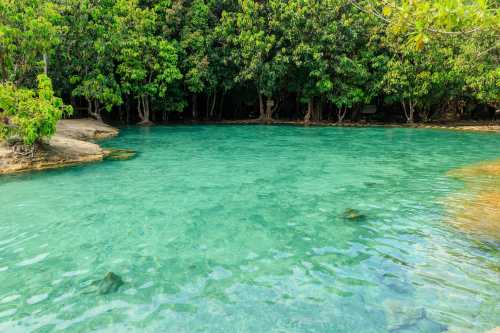 Emerald Pool things to do in Krabi