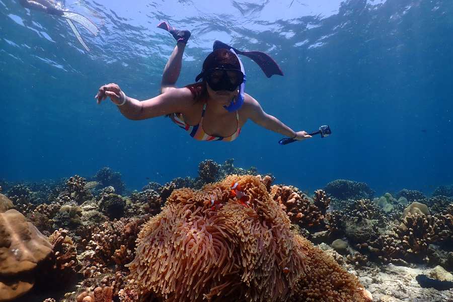 Koh Rok Snorkeling Corals
